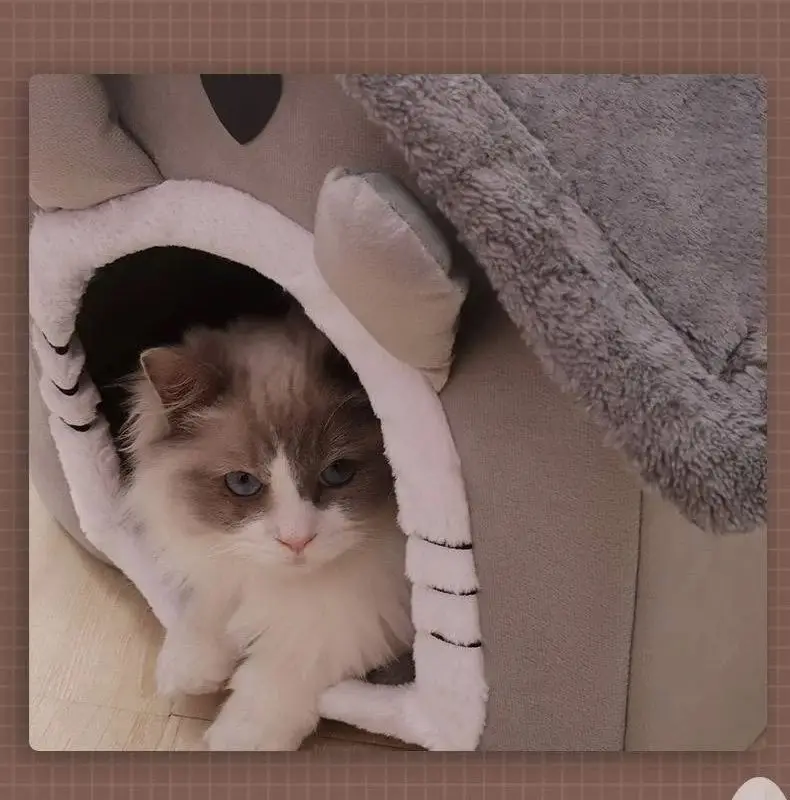 Casa pra gatos ou dogs, desmontavel e lavavel ! - Image 4